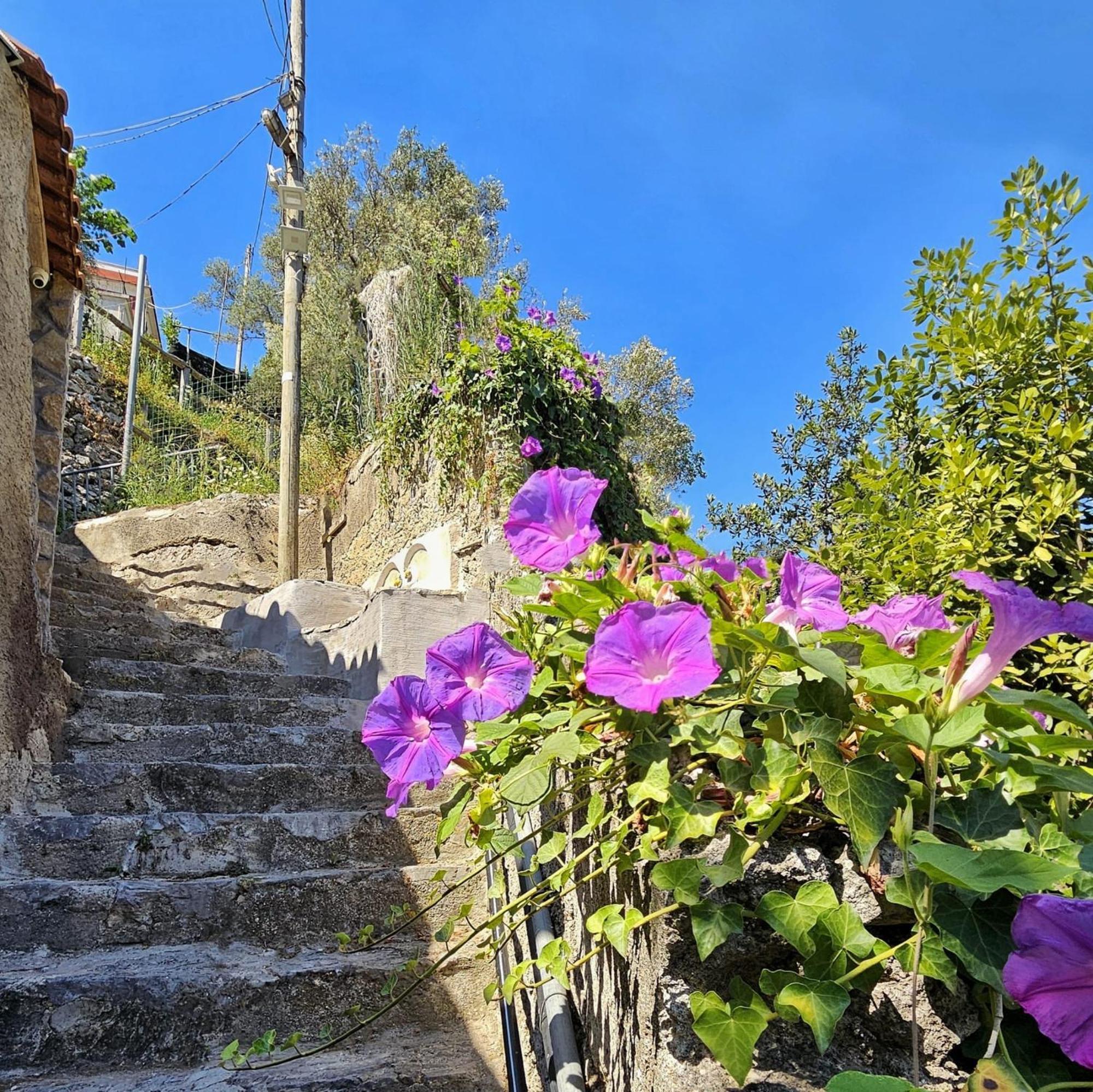 Villa Ines Maiori Exterior foto